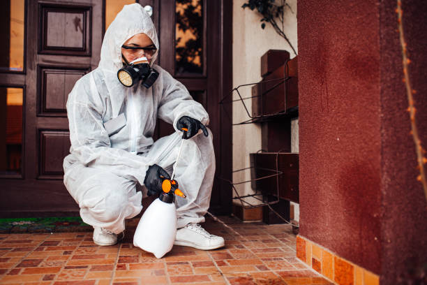Attic and Crawl Space Rodent Treatment in Huguley