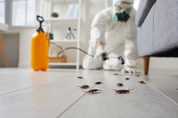 Commercial Rodent Management in Huguley